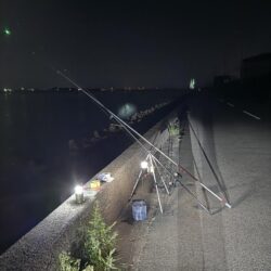 シロギス釣り