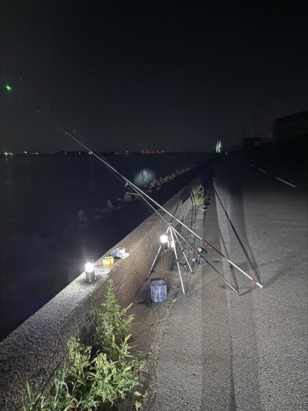 シロギス釣り