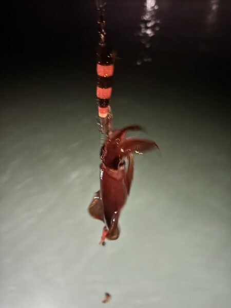 リベンジ成功？