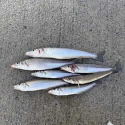 なかなか厳しい