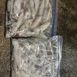 盆休みの締めくくり