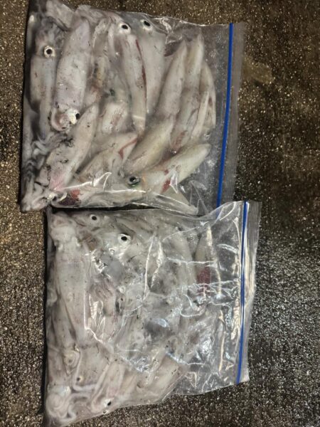 盆休みの締めくくり