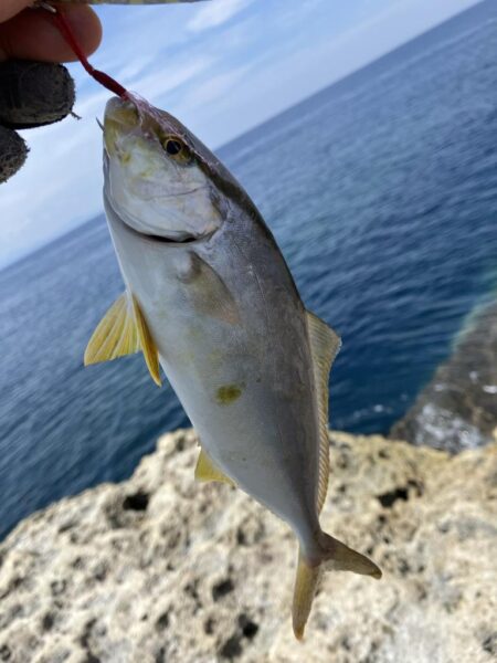 長潮。。京丹後ライトロックショアジギング。…