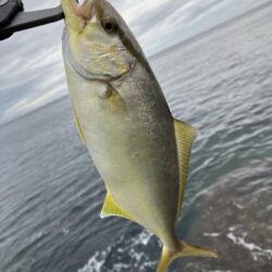 京丹後ライトロックショアジギング。水潮。。