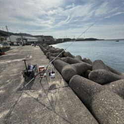 太刀魚釣り