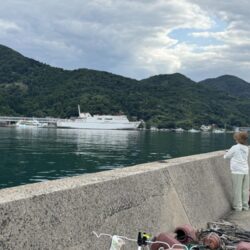 ピアチューレ！鳥を取ってキスを釣る笑