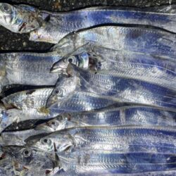 リベンジ成功⁉️
