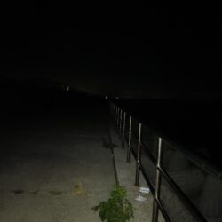 タチウオ①