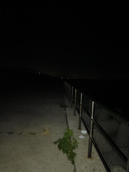 タチウオ①