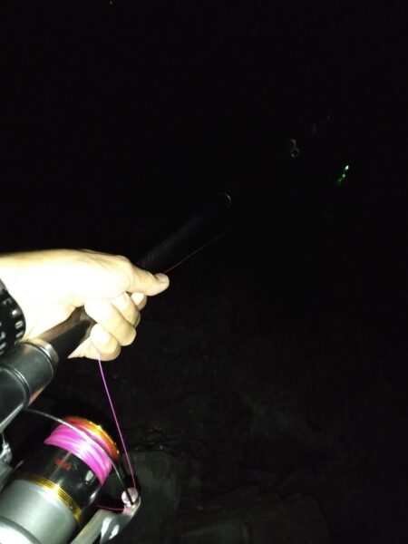 夜釣り大物狙いでしたが。