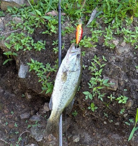 夜明けと同時に釣り開始