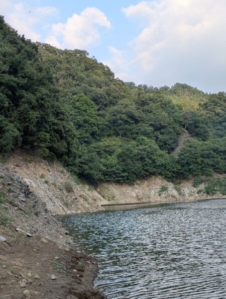 ６時間で１匹