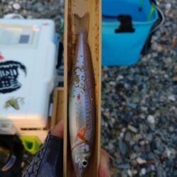 三重釣行4