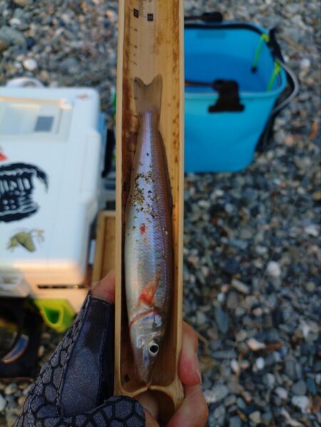 三重釣行4