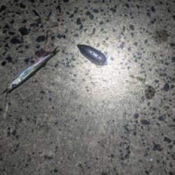 ポイントを巡って辿り着いた堤防。微妙なアタリの正体はカマス。