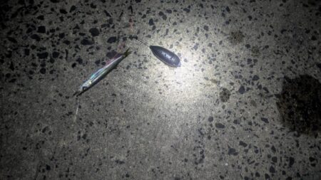 ポイントを巡って辿り着いた堤防。微妙なアタリの正体はカマス。