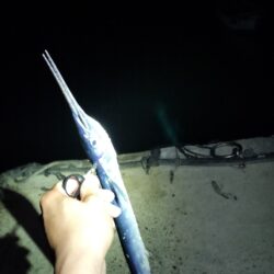 ５目釣り