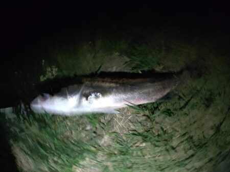 2日連続釣行