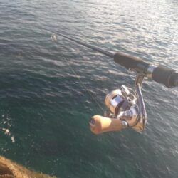越前海岸の秋イカ