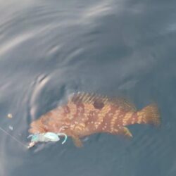 久々の釣り
