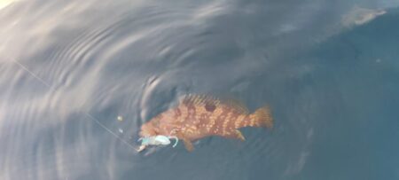 久々の釣り