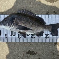 イチノ兄弟、釣果！
