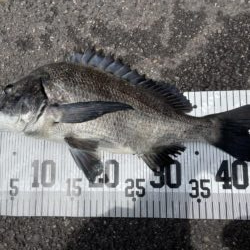 イチノ兄弟、釣果！