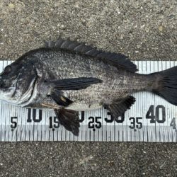 イチノ兄弟、釣果！