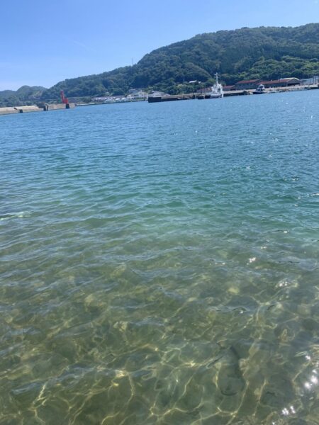 いか天　1