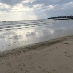 涼しくて快適な釣り日和