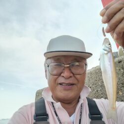 播磨新島のキス調査６