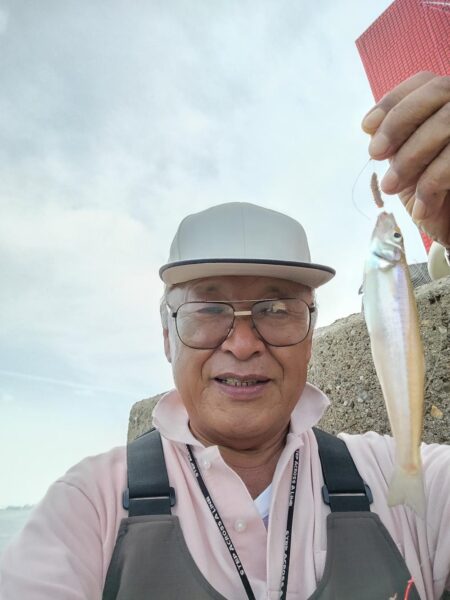 播磨新島のキス調査６