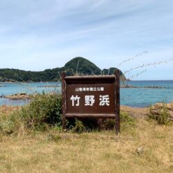 今シーズン8回目のキス釣り