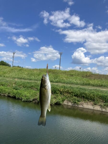夏休み釣行2日目