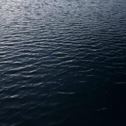 タチウオ釣り