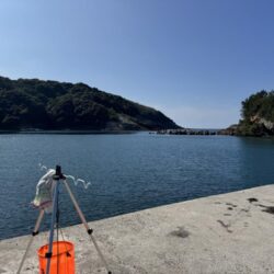 鳥を取って、魚を釣って行くゥ2nd