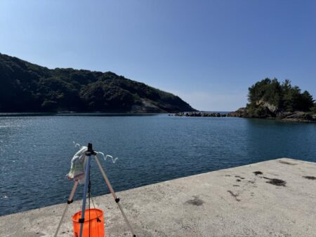 鳥を取って、魚を釣って行くゥ2nd