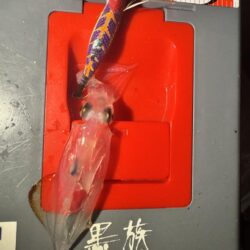ヒイカ釣り
