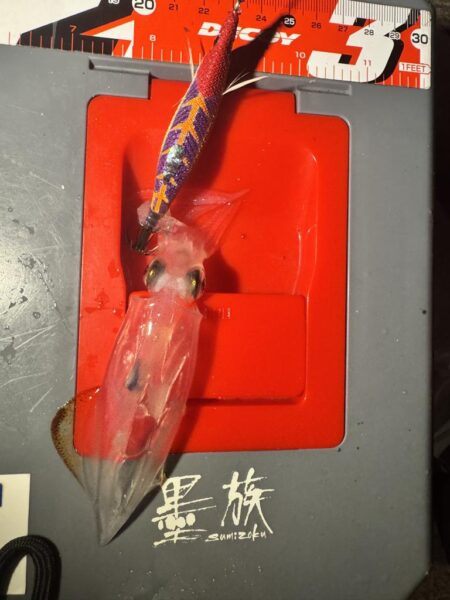 ヒイカ釣り