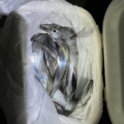 地合い長め 当たり多し