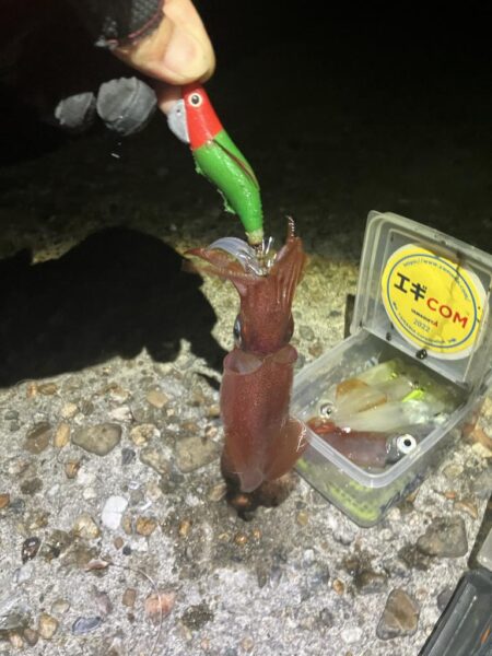 やっぱり🦑釣れると楽しい(^.^)