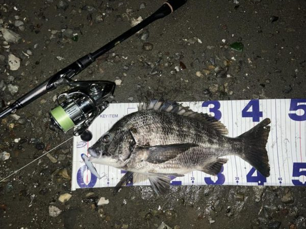 本降りになる前の一本❗️