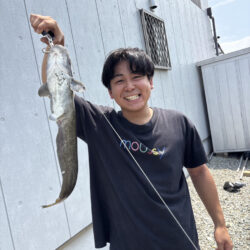 小学生の夏休みちゃうで