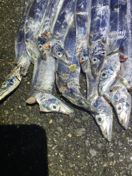 リベンジ成功⁉️