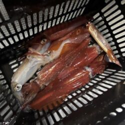 丹後沖イカメタル