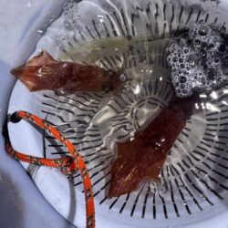 盆休みの締めくくり
