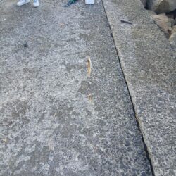 また×3朝活キス