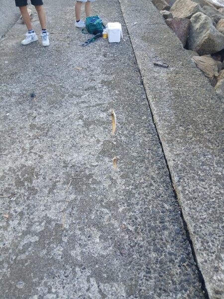 また×3朝活キス