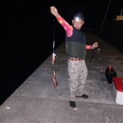 夏の風物詩、離島ケンサキ!!