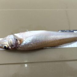 釣りあるある